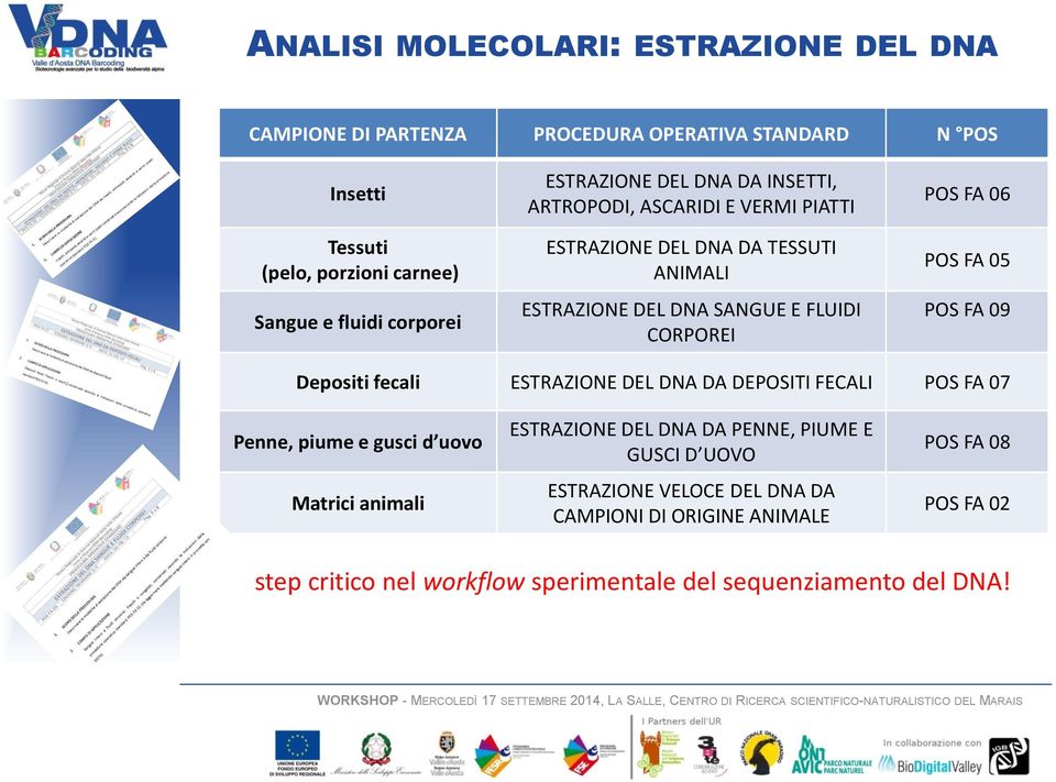 POS FA 05 POS FA 09 Depositi fecali ESTRAZIONE DEL DNA DA DEPOSITI FECALI POS FA 07 Penne, piume e gusci d uovo Matrici animali ESTRAZIONE DEL DNA DA PENNE,