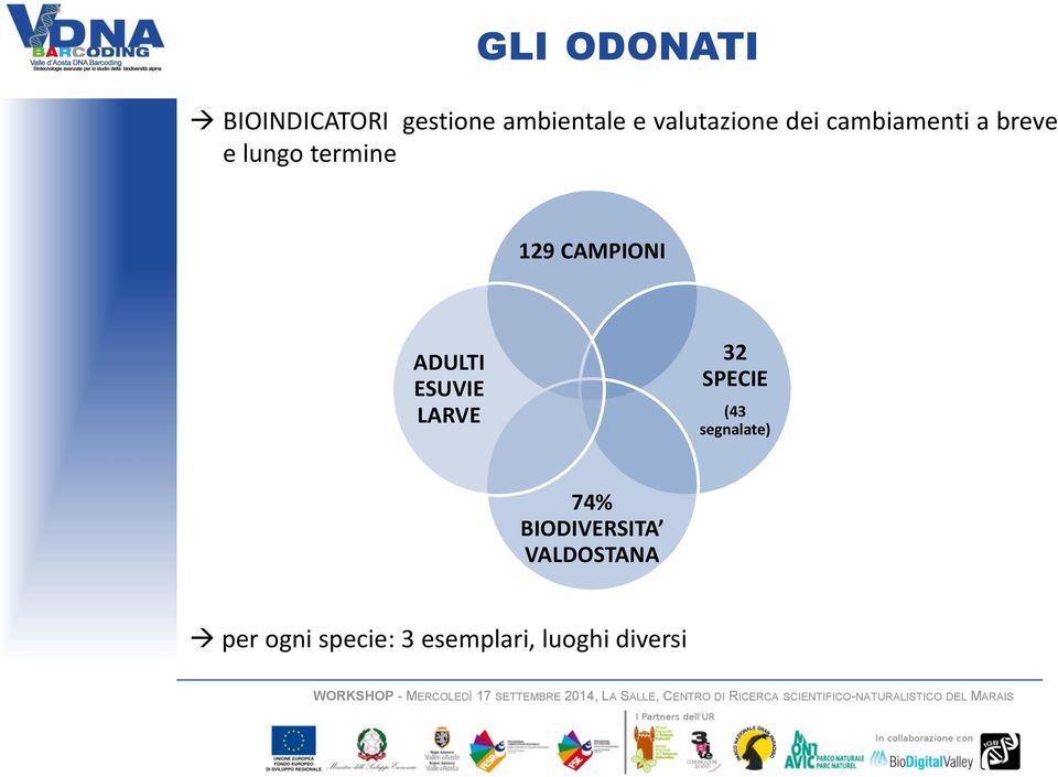 CAMPIONI ADULTI ESUVIE LARVE 32 SPECIE (43 segnalate) 74%