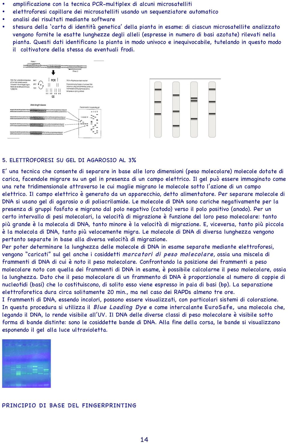 pianta. Questi dati identificano la pianta in modo univoco e inequivocabile, tutelando in questo modo il coltivatore della stessa da eventuali frodi. 5.