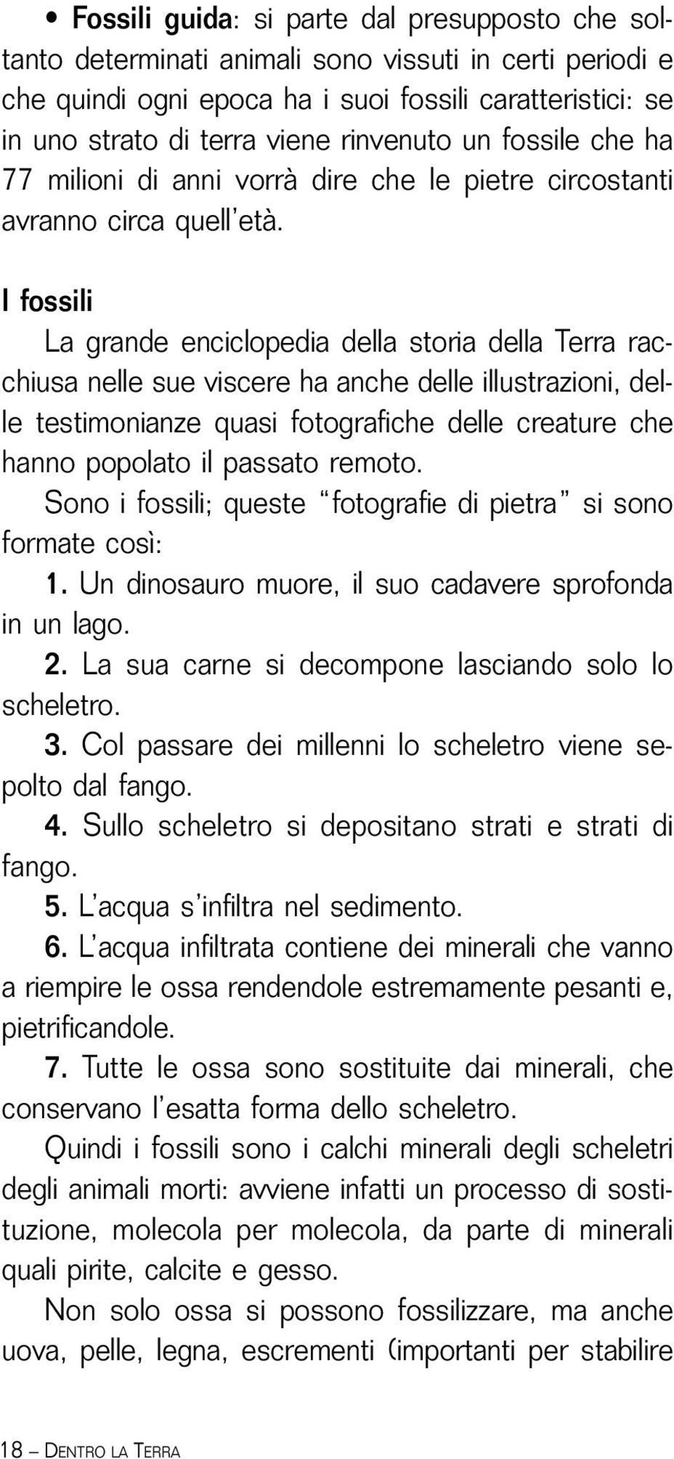 I fossili La grande enciclopedia della storia della Terra racchiusa nelle sue viscere ha anche delle illustrazioni, delle testimonianze quasi fotografiche delle creature che hanno popolato il passato