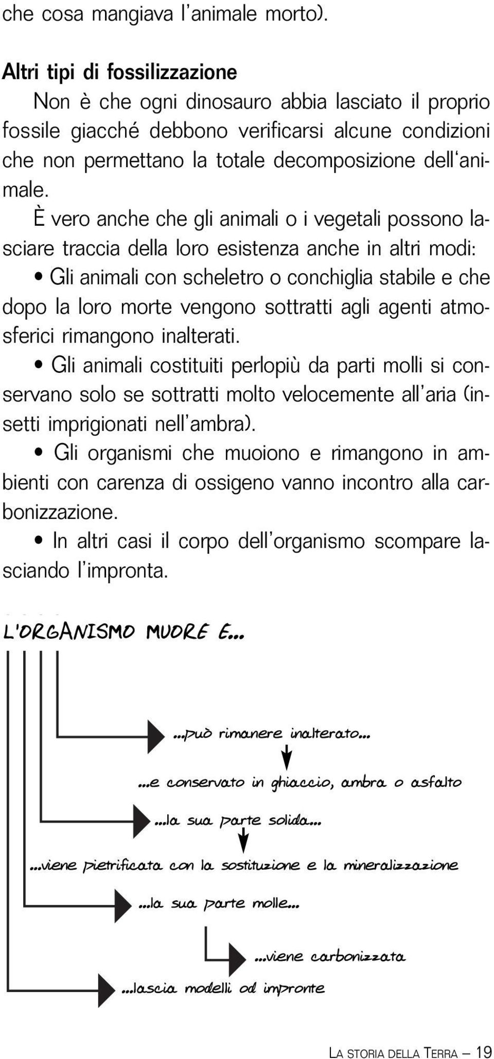 È vero anche che gli animali o i vegetali possono lasciare traccia della loro esistenza anche in altri modi: Gli animali con scheletro o conchiglia stabile e che dopo la loro morte vengono sottratti