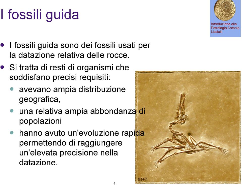 Si tratta di resti di organismi che soddisfano precisi requisiti: avevano ampia