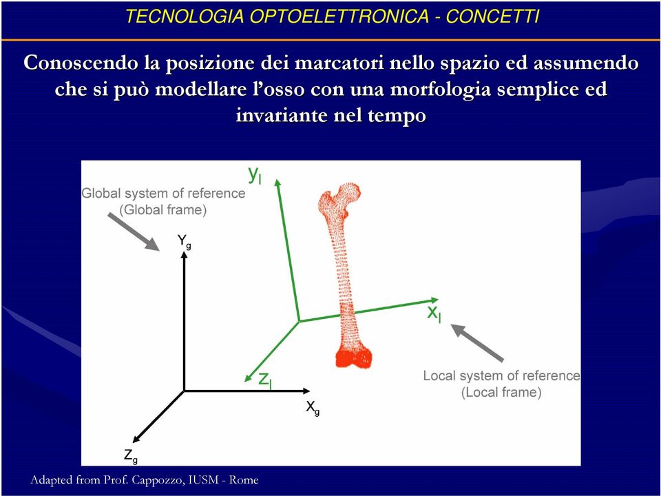 si può modellare l osso con una morfologia semplice ed