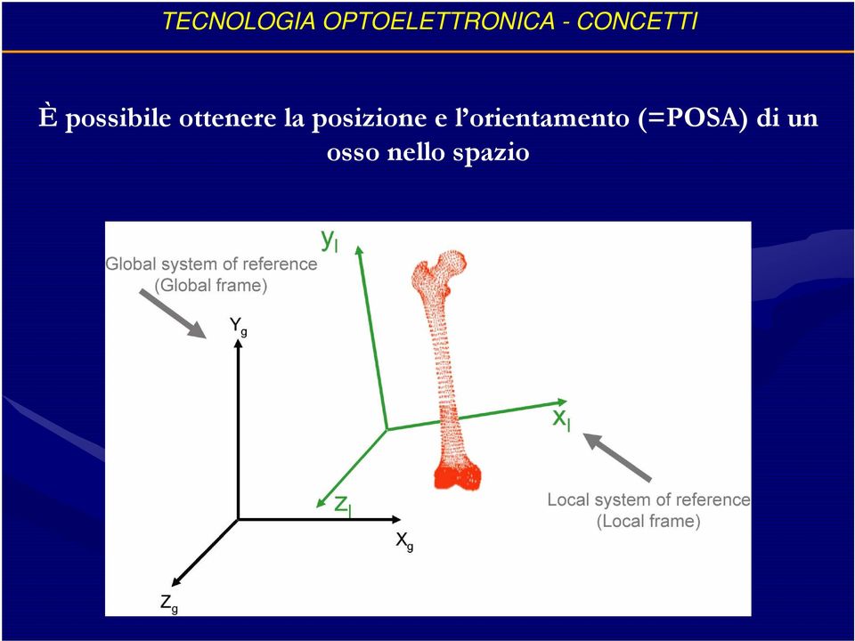 la posizione e l orientamento