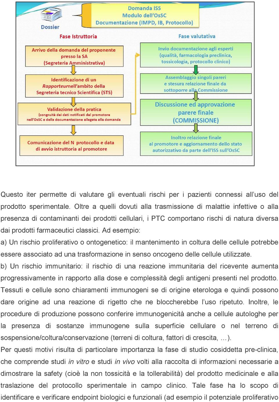 Ad esempio: a) Un rischio proliferativo o ontogenetico: il mantenimento in coltura delle cellule potrebbe essere associato ad una trasformazione in senso oncogeno delle cellule utilizzate.