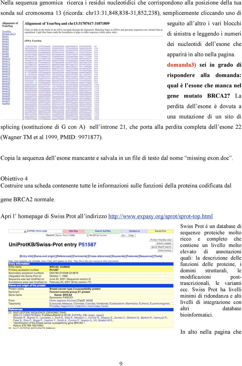 domanda3) sei in grado di rispondere alla domanda: qual è l esone che manca nel gene mutato BRCA2?