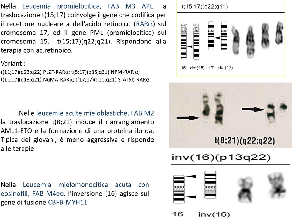 Varianti: t(11;17)(q23;q22) PLZF-RARα; t(5;17)(q35;q21) NPM-RAR α; t(11;17)(q13;q21) NuMA-RARα; t(17;17)(q11;q21) STAT5b-RARα; Nelle leucemie acute mieloblastiche, FAB M2 la