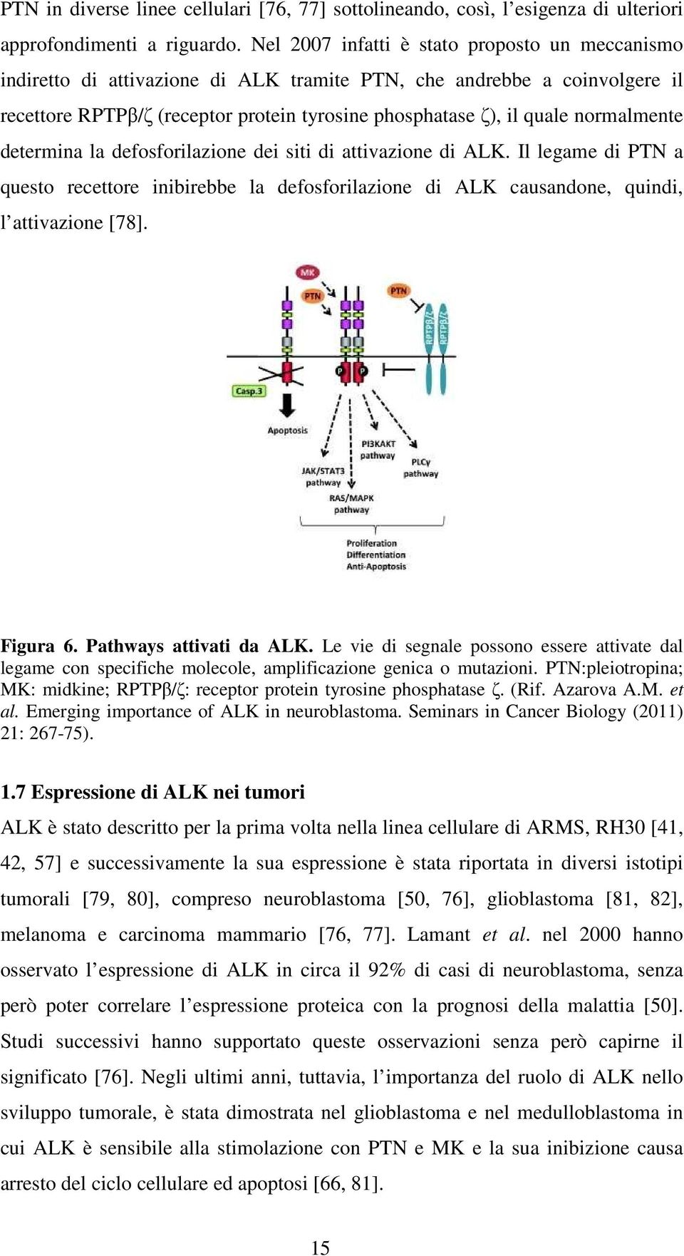 normalmente determina la defosforilazione dei siti di attivazione di ALK. Il legame di PTN a questo recettore inibirebbe la defosforilazione di ALK causandone, quindi, l attivazione [78]. Figura 6.