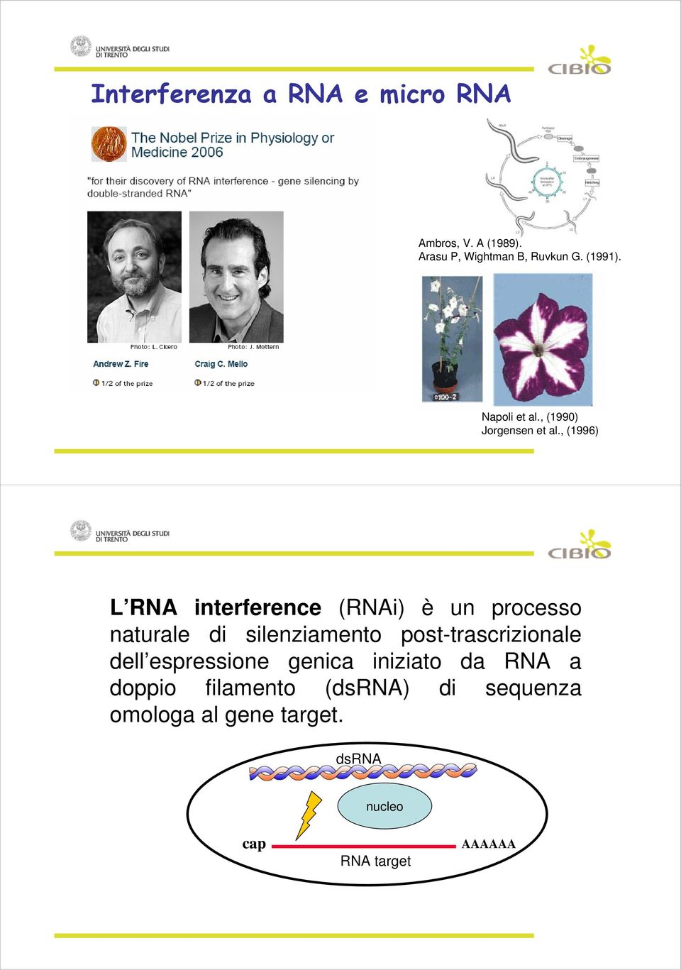 , (1996) L RNA interference (RNAi) è un processo naturale di silenziamento