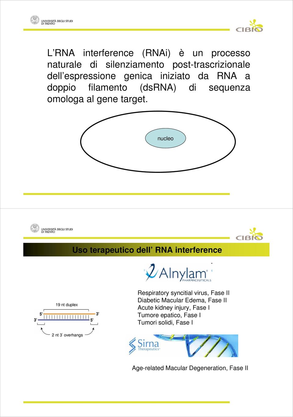 nucleo Uso terapeutico dell RNA interference 19 nt duplex Respiratory syncitial virus, Fase II Diabetic Macular