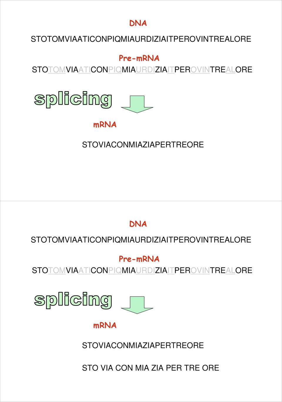 STO VIA CON MIA ZIA PER TRE ORE