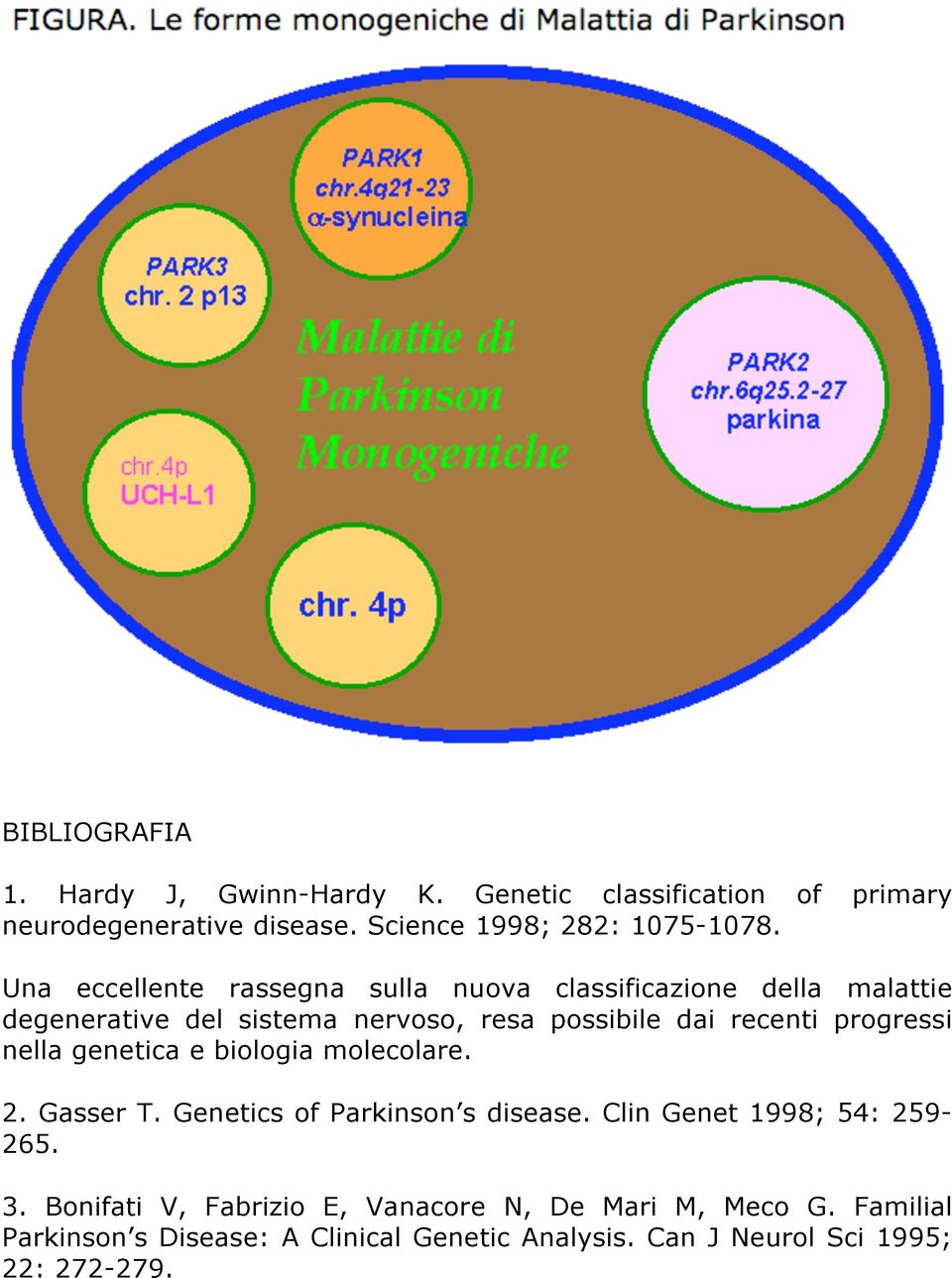progressi nella genetica e biologia molecolare. 2. Gasser T. Genetics of Parkinson s disease. Clin Genet 1998; 54: 259-265. 3.