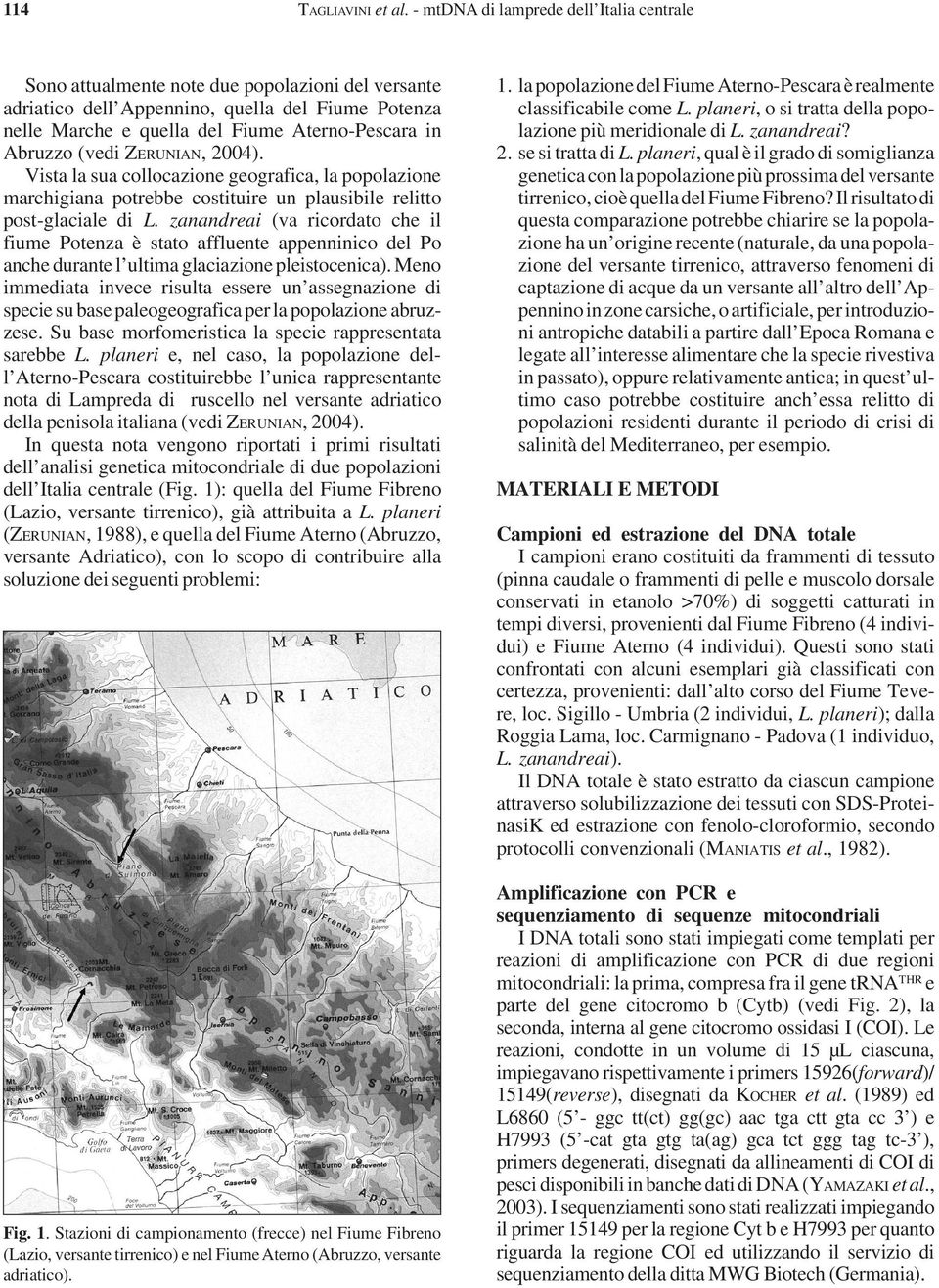 Abruzzo (vedi ZERUNIAN, 2004). Vista la sua collocazione geografica, la popolazione marchigiana potrebbe costituire un plausibile relitto post-glaciale di L.