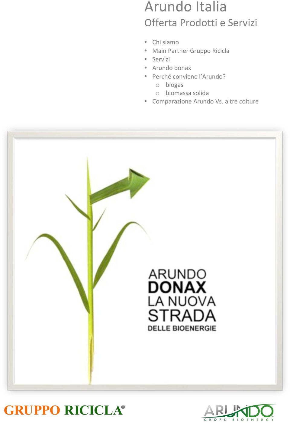 Arundo'donax' Perché'conviene'l Arundo?