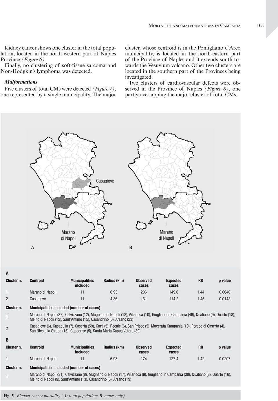 The major cluster, whose centroid is in the Pomigliano d rco municipality, is located in the north-eastern part of the Province of Naples and it extends south towards the Vesuvium volcano.