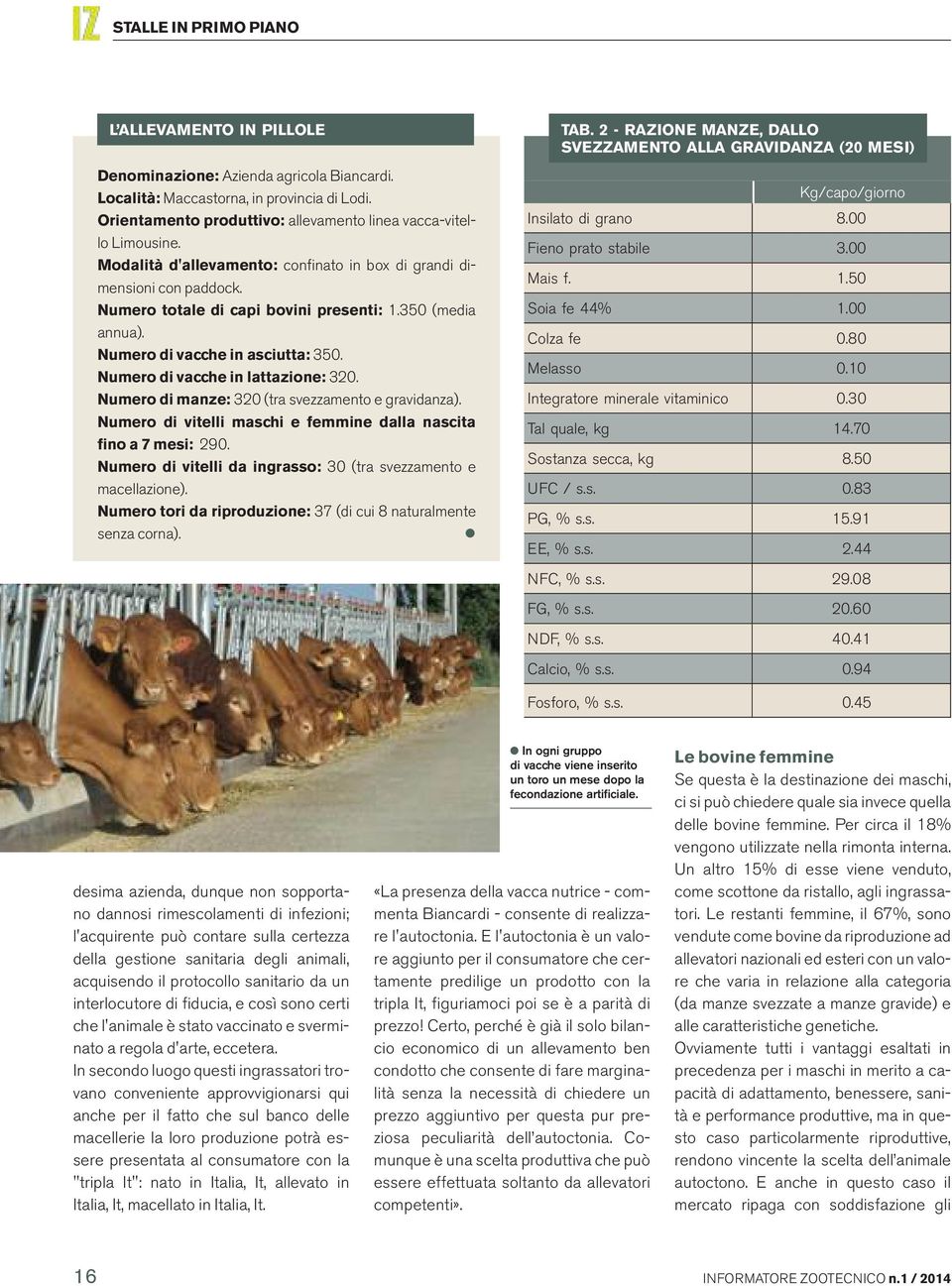 Numero di vacche in lattazione: 320. Numero di manze: 320 (tra svezzamento e gravidanza). Numero di vitelli maschi e femmine dalla nascita fino a 7 mesi: 290.