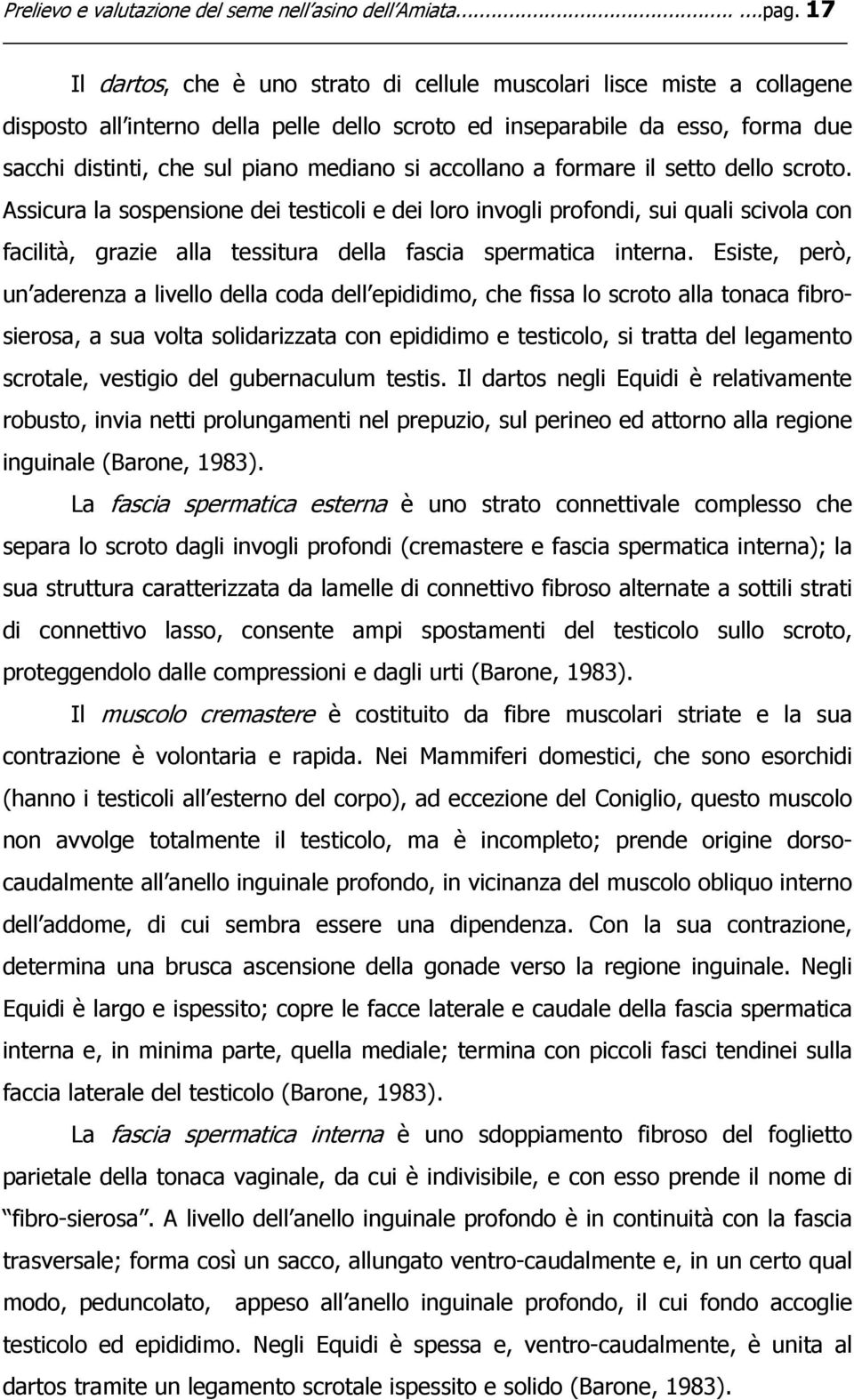 accollano a formare il setto dello scroto. Assicura la sospensione dei testicoli e dei loro invogli profondi, sui quali scivola con facilità, grazie alla tessitura della fascia spermatica interna.