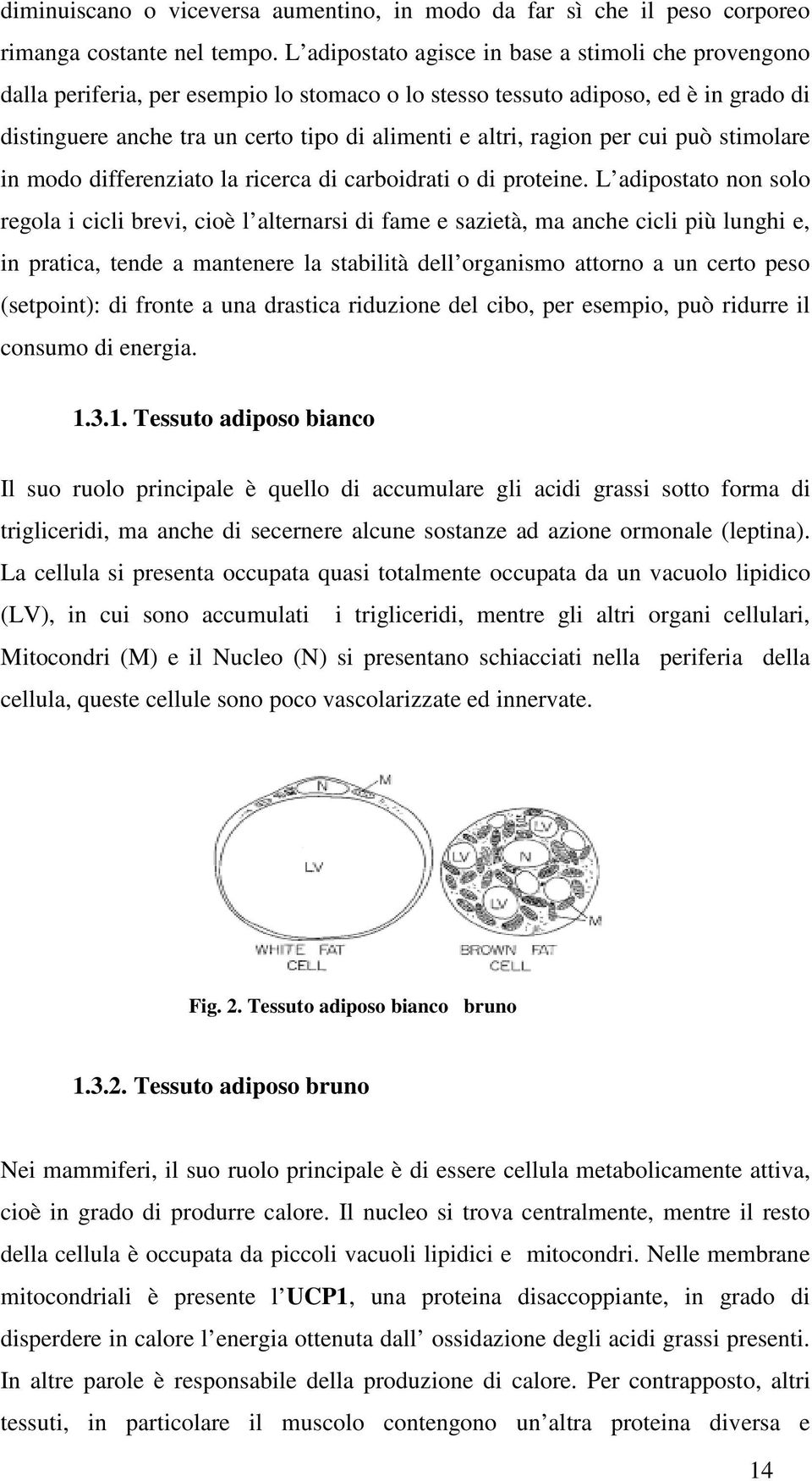 ragion per cui può stimolare in modo differenziato la ricerca di carboidrati o di proteine.