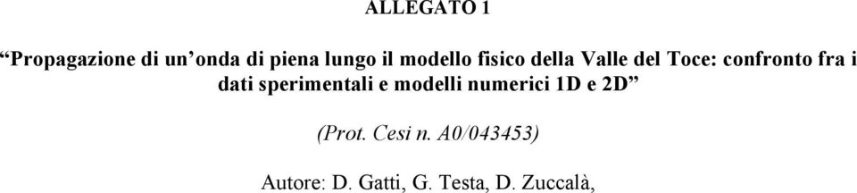 dati sperimentali e modelli numerici 1D e 2D (Prot.