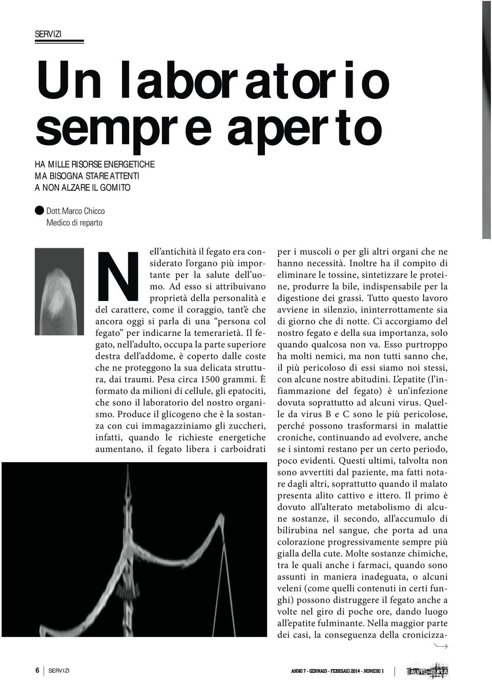 Ad esso si attribuivano proprietà della personalità e del carattere, come il coraggio, tant è che ancora oggi si parla di una persona col fegato per indicarne la temerarietà.