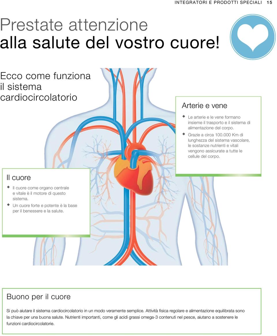 000 Km di lunghezza del sistema vascolare, le sostanze nutrienti e vitali vengono assicurate a tutte le cellule del corpo.