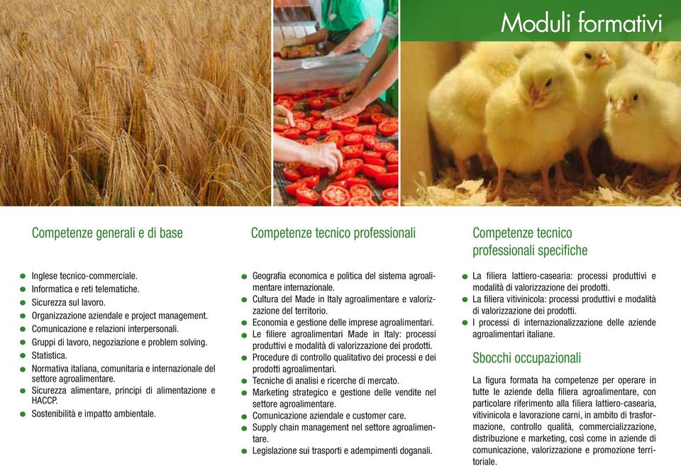 Normativa italiana, comunitaria e internazionale del settore agroalimentare. Sicurezza alimentare, principi di alimentazione e HACCP. Sostenibilità e impatto ambientale.