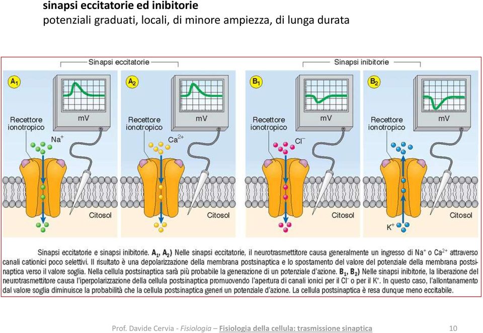 graduati, locali, di