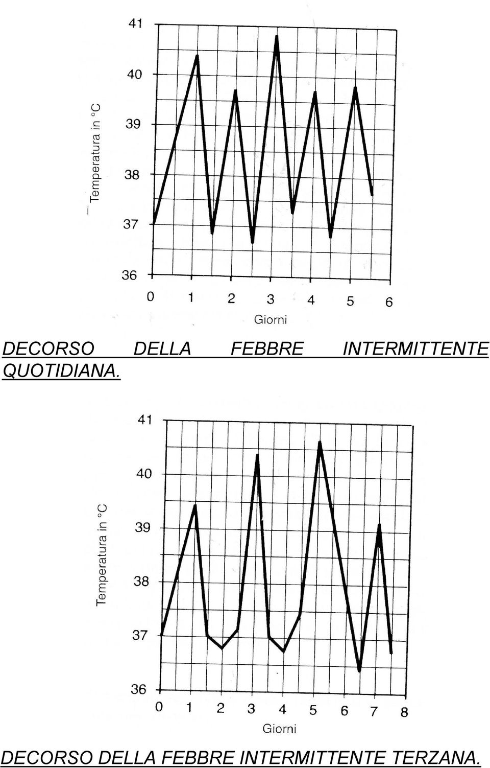 QUOTIDIANA.   TERZANA.