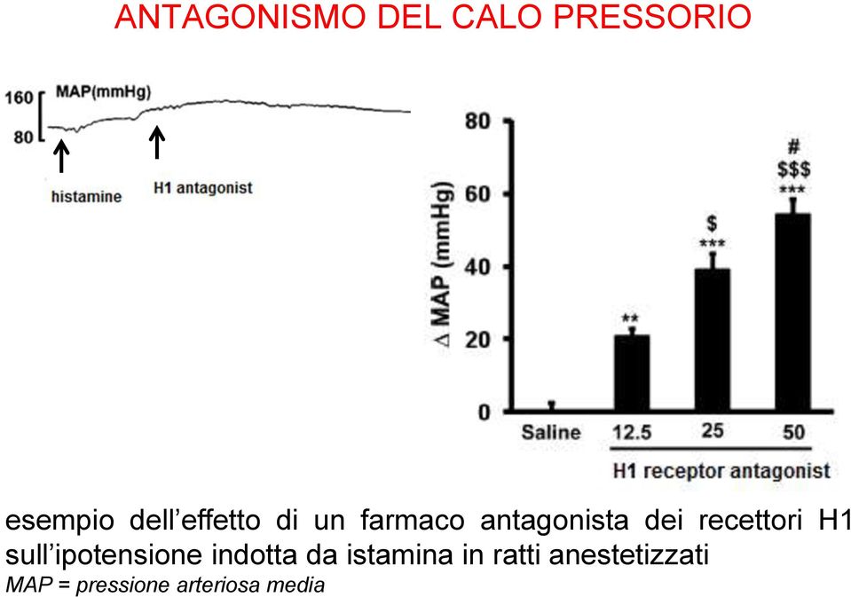 recettori H1 sull ipotensione indotta da