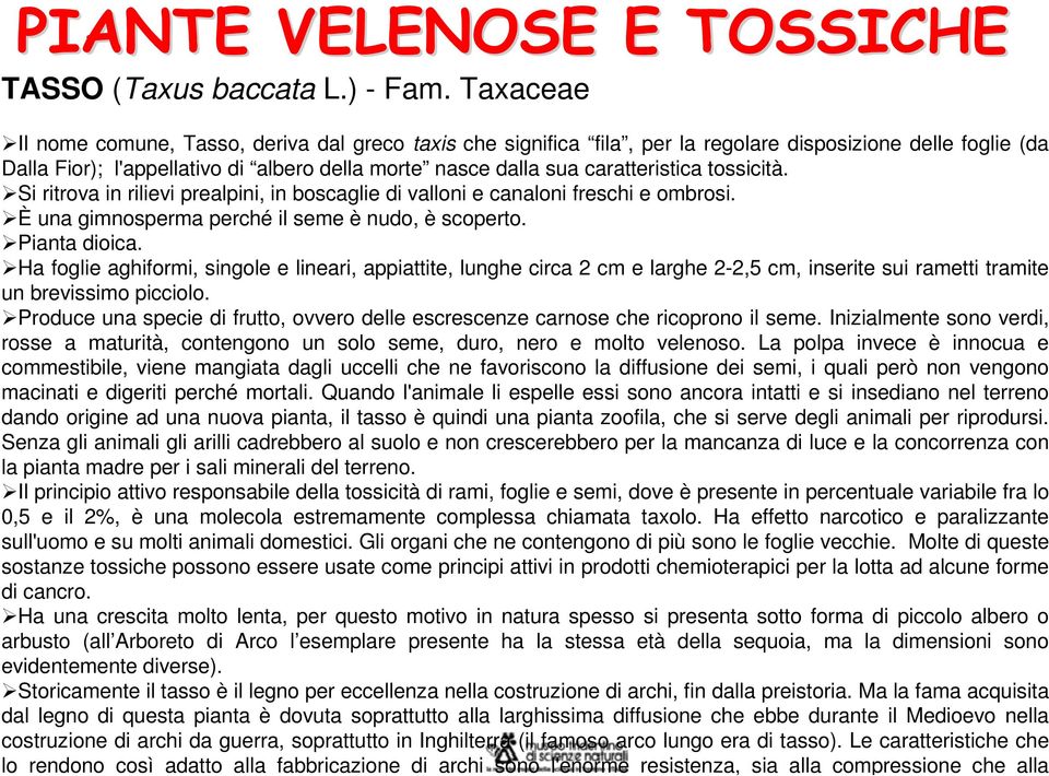 caratteristica tossicità. Si ritrova in rilievi prealpini, in boscaglie di valloni e canaloni freschi e ombrosi. È una gimnosperma perché il seme è nudo, è scoperto. Pianta dioica.