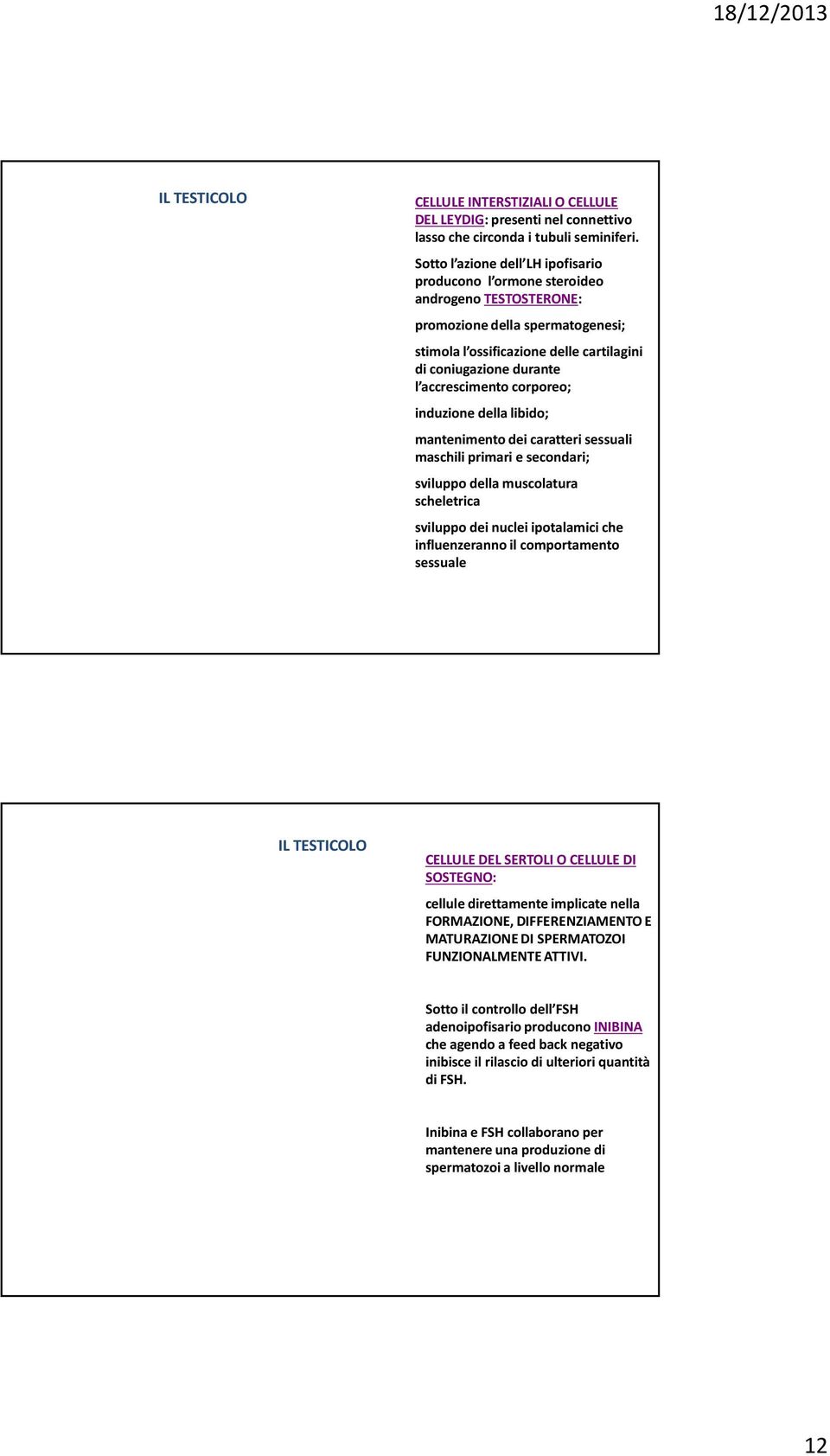 accrescimento corporeo; induzione della libido; mantenimento dei caratteri sessuali maschili primari e secondari; sviluppo della muscolatura scheletrica sviluppo dei nuclei ipotalamici che