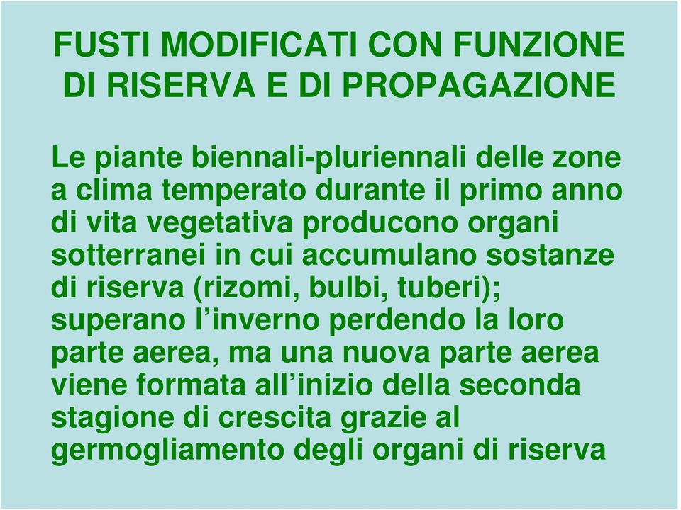 di riserva (rizomi, bulbi, tuberi); superano l inverno perdendo la loro parte aerea, ma una nuova parte