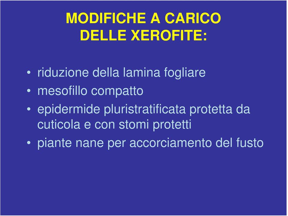 epidermide pluristratificata protetta da