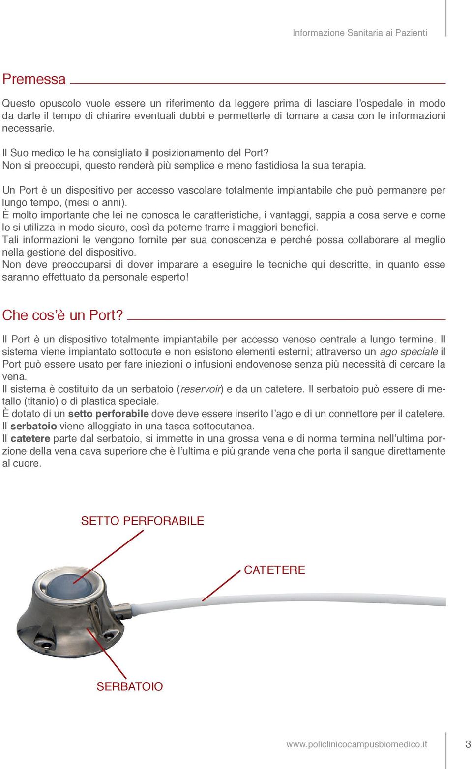 Un Port è un dispositivo per accesso vascolare totalmente impiantabile che può permanere per lungo tempo, (mesi o anni).