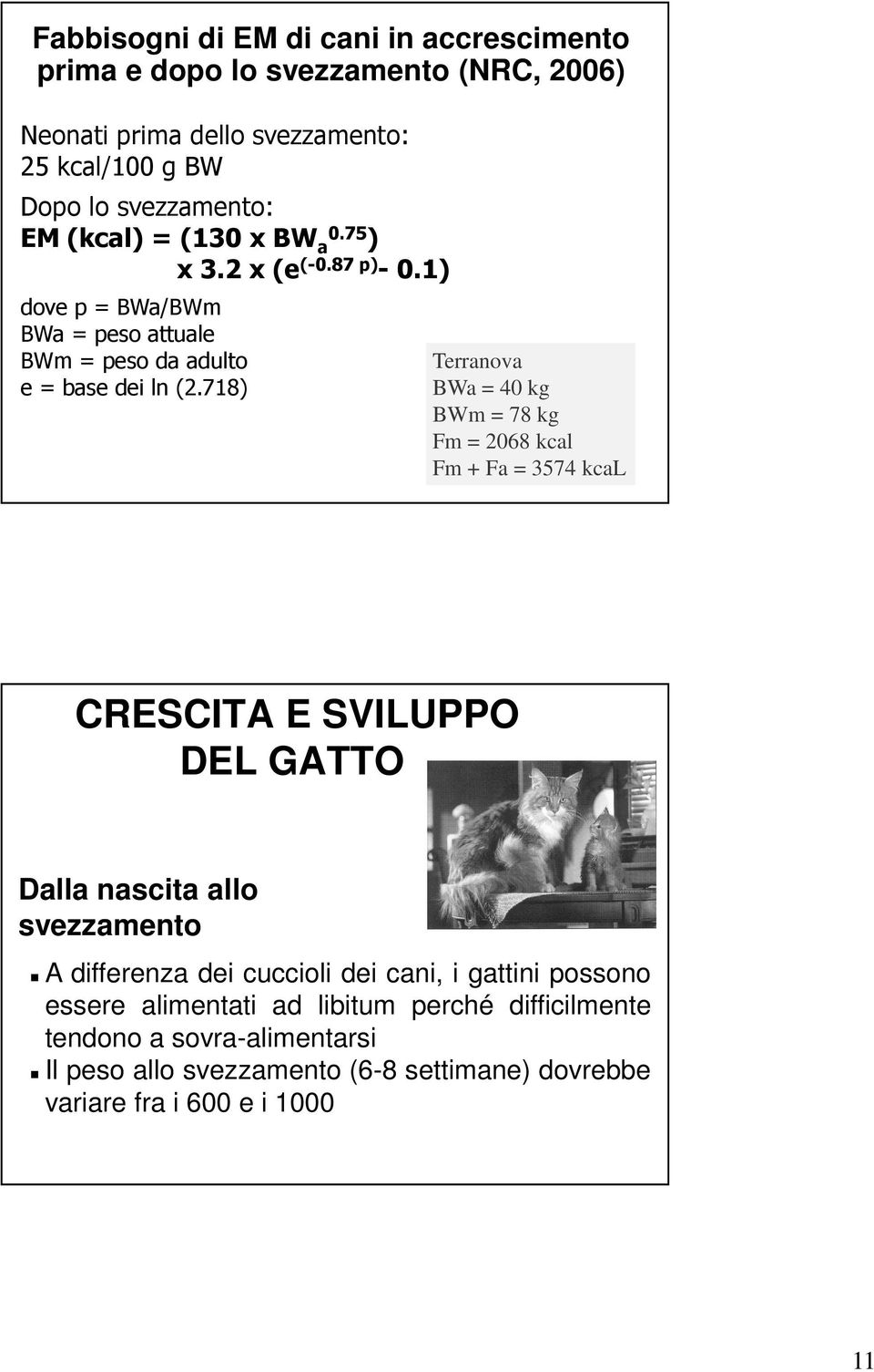 718) Terranova BWa = 40 kg BWm = 78 kg Fm = 2068 kcal Fm + Fa = 3574 kcal CRESCITA E SVILUPPO DEL GATTO Dalla nascita allo svezzamento A differenza dei