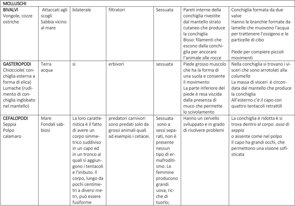 conchiglia Bisso: filamenti che escono dalla conchiglia per ancorare l animale alle rocce si erbivori sessuata Piede grosso muscolo che ha la forma di una suola e consente il movimento La parte