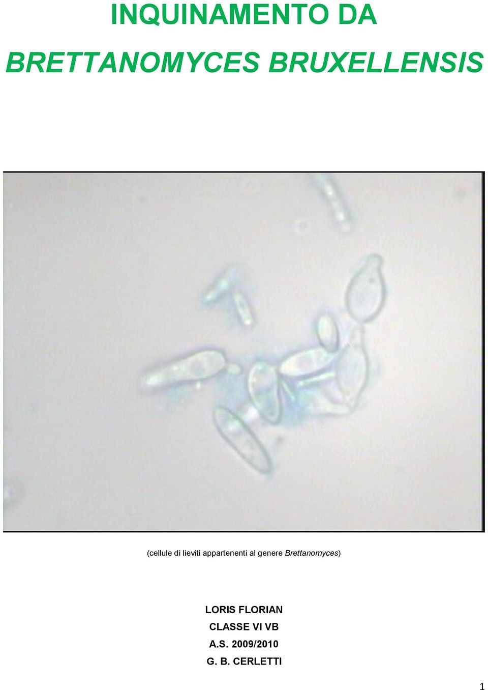 appartenenti al genere Brettanomyces)