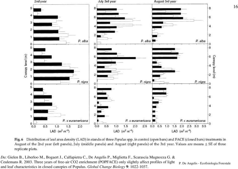 Three years of free-air CO2 enrichment (POPFACE) only slightly affect