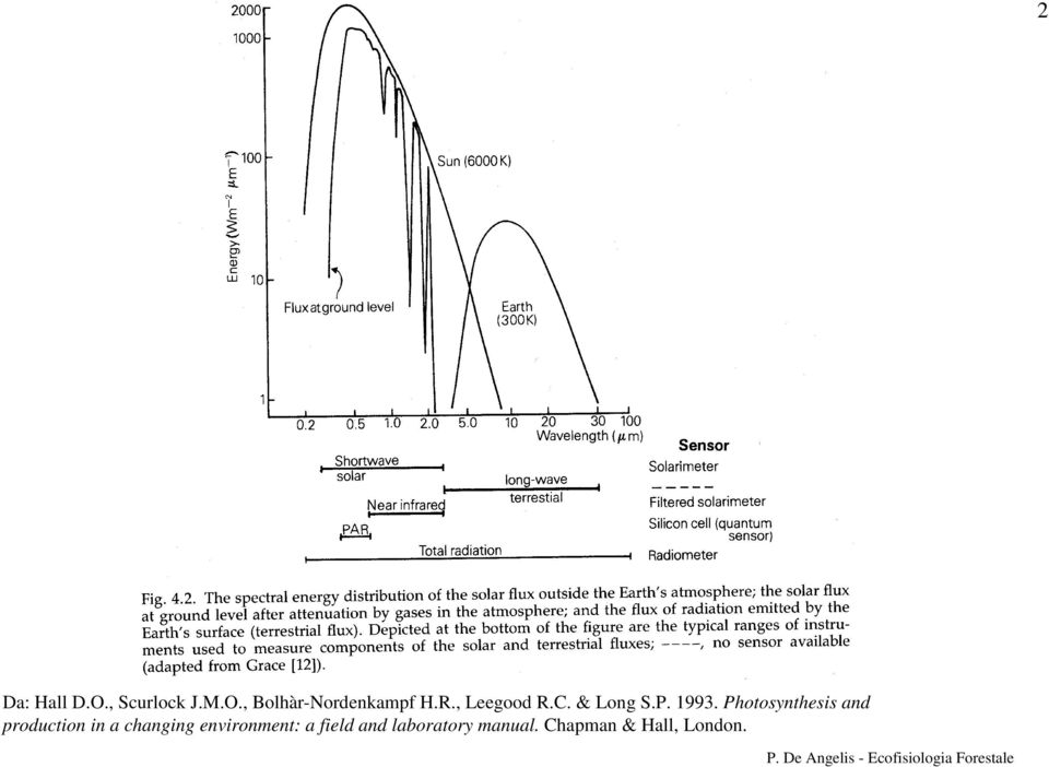 Photosynthesis and production in a changing