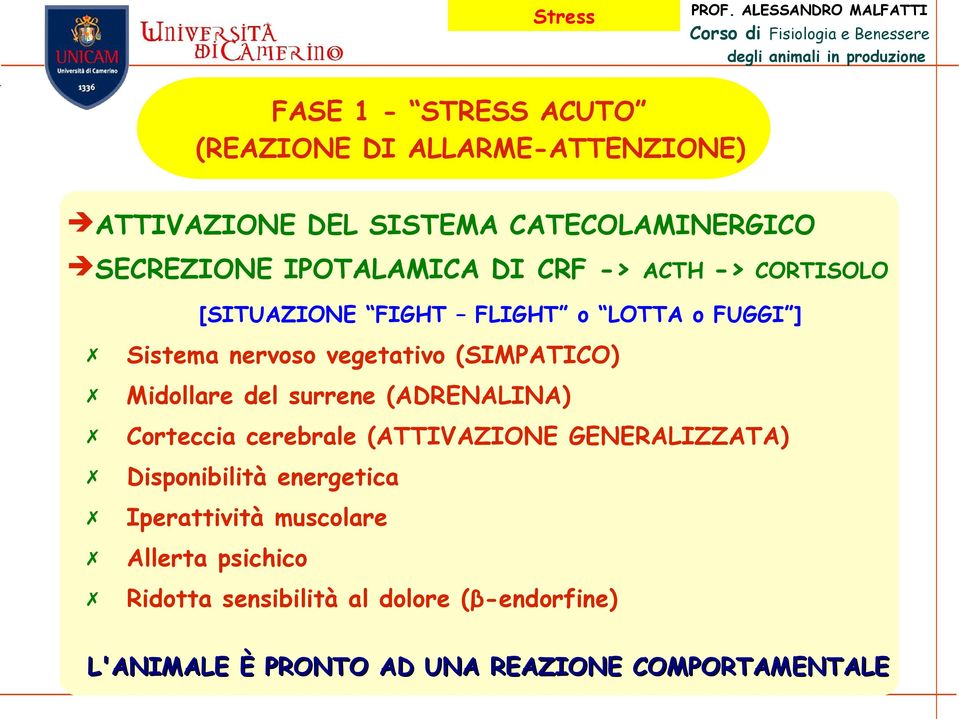 (SIMPATICO) Midollare del surrene (ADRENALINA) Corteccia cerebrale (ATTIVAZIONE GENERALIZZATA) Disponibilità