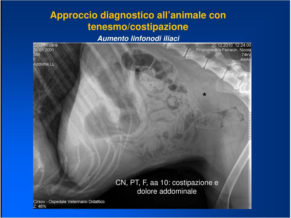 linfonodi iliaci * CN, PT, F, aa