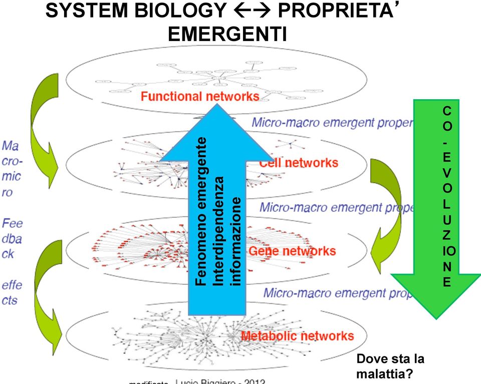 Interdipendenza informazione C O