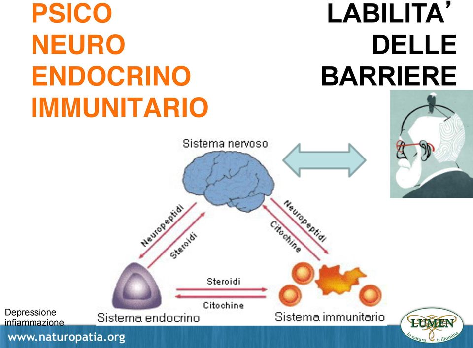 DELLE BARRIERE