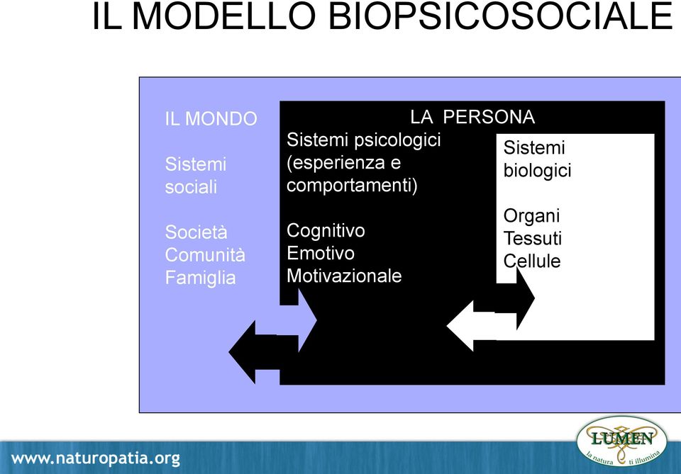 (esperienza e comportamenti) Cognitivo Emotivo