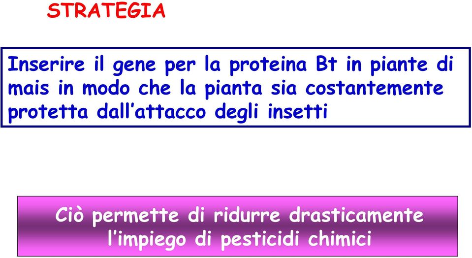 costantemente protetta dall attacco degli insetti