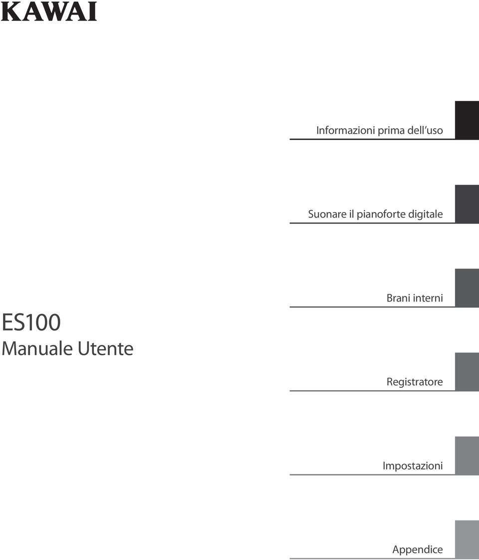 ES100 Manuale Utente Brani