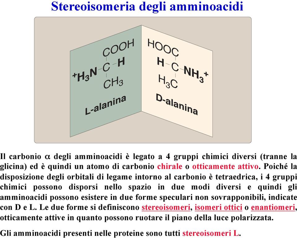 Poiché la disposizione degli orbitali di legame intorno al carbonio è tetraedrica, i 4 gruppi chimici possono disporsi nello spazio in due modi diversi e quindi gli