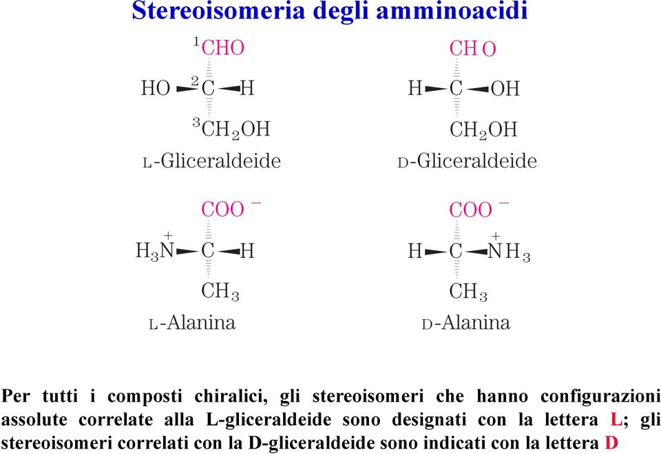 alla L-gliceraldeide sono designati con la lettera L; gli