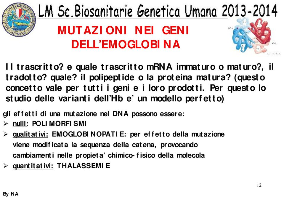 Per questo lo studio delle varianti dell Hb e un modello perfetto) gli effetti di una mutazione nel DNA possono essere: nulli: