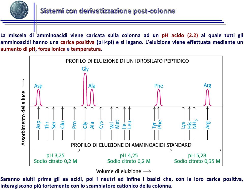 L eluizione viene effettuata mediante un aumento di ph, forza ionica etemperatura.